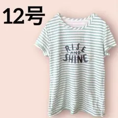 緑ストライプ Tシャツ RISE AND SHINE 【12号】