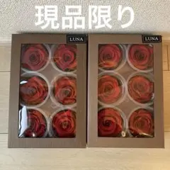 薔薇 ティエラ アンティークレッド プリザーブドフラワー 6輪入×2箱