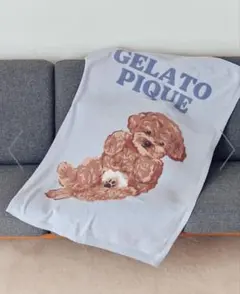 ジェラートピケ　ドッグ　ブランケット　ブルー　トイプードル