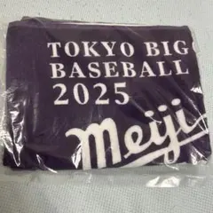 明治大学応援グッズ