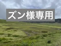ズン様専用（JILLアイシャドウ2点）