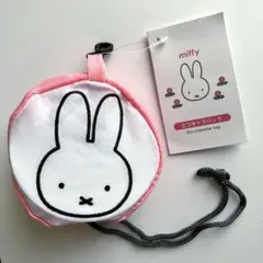 Item thumbnail for item 803ba671-b440-40be-9417-ef46b27eeec6