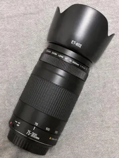 2026年最新】canon kiss x8i 望遠レンズの人気アイテム - メルカリ