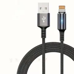 Item thumbnail for item 943f5578-9a65-4f7c-8912-02a7c4553c7a