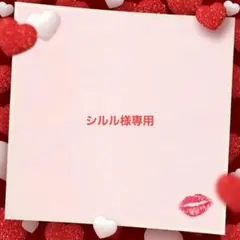 【シルル様専用】おまとめ