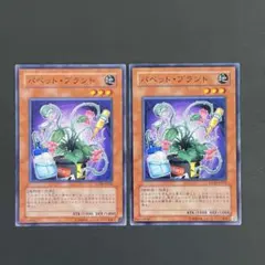 パペット・プラント