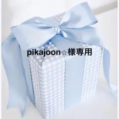 pikajoon⭐︎様専用ページ