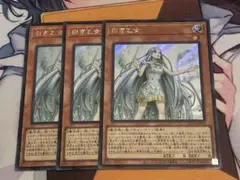 白き乙女　シークレット　ロゴなし　3枚