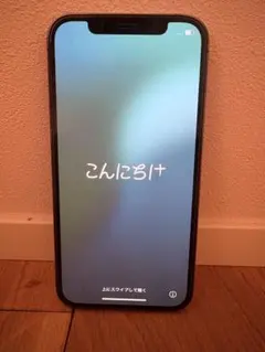 iPhone 12 Pro 256GB タイ版 SIMフリー