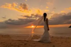 Item thumbnail for item 81f3315b-43ac-4e03-871e-1144f1a976fa