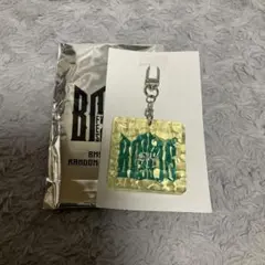 Item thumbnail for item a170145c-85bb-4f7d-b03e-8b0da2c24761