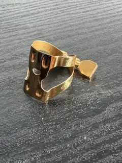 Item thumbnail for item a4207652-c142-43e7-8a60-9611c16bf465