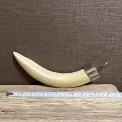 2025年最新】象牙 台の人気アイテム - メルカリ