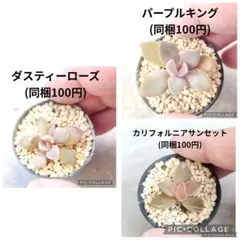 りんご様 リクエスト 3点 まとめ商品