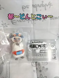 仮面にゃいだー【チャード】