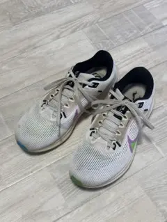NIKE ペガサス40 25cm