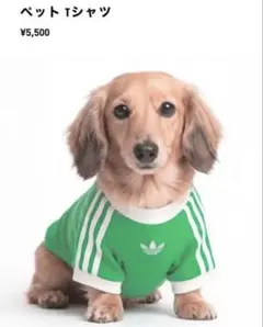 2026年最新】adidas 犬服の人気アイテム - メルカリ
