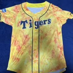 Item thumbnail for item 74ffbb62-7c37-4941-aea8-717becaf11c1