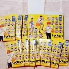 ハイキュー！！　カラパレ　缶バッジ　コンプリートセット