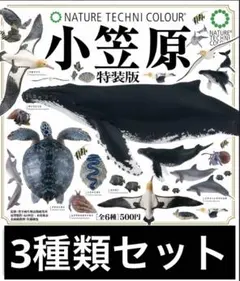 2026年最新】ネイチャーテクニカラー 小笠原の人気アイテム - メルカリ