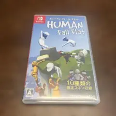 Nintendo Switch Human Fall Flatのサムネイル
