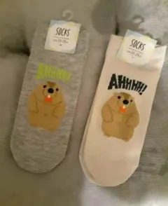 新品　可愛いマーモット靴下二足