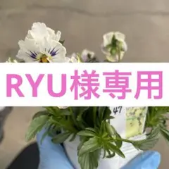 RYU様専用