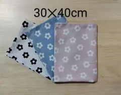 Item thumbnail for item 747fdfbe-8e85-41e1-a42d-cf0bd932371c