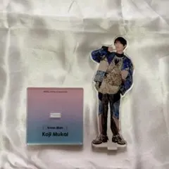 Snow Man 向井康二 アクリルスタンド