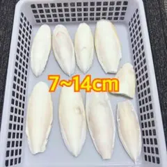 ⑫カトルボーンのサムネイル