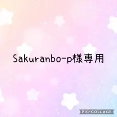 Sakuranbo-p様専用