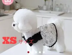 Item thumbnail for item f2a5652c-7a6b-4b97-9bee-d9543a90f7a4