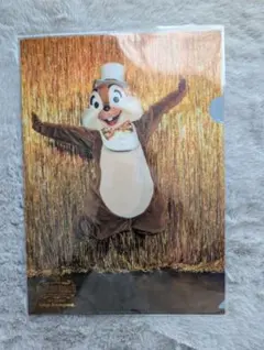 【匿名配送】【未開封】ワンマンⅡチップとデールクリアファイル