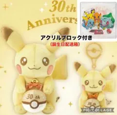 30周年記念　ピカピカ！ピカチュウ　ぬいぐるみ　マスコット　アクリルブロック