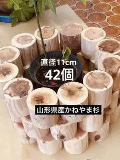 1 イヌマキ 丸太4本セット 長さ45cm （西1） - メルカリ