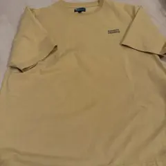 フランクリンクライミングTシャツ