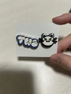 tws ピンバッジ badge dedut march