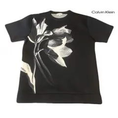 Calvin Klein Tシャツ Lサイズ ブラック　スポンジ素材