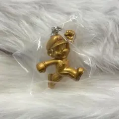 スーパーマリオ めじるしアクセサリー2 シークレット