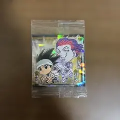 Y*様 ハンター×ハンター ゴン&キルア&ヒソカ