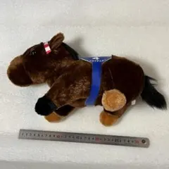 【良品☆ファン必見】スーパーサラブレッド トウカイテイオー