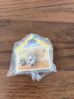 MINITEEN パッケージチャーム　チャンダリ