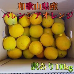 和歌山県有田産 無農薬有機肥料のみ完熟バレンシアオレンジ 10kg M〜L