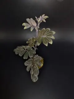 くろしば様 リクエスト 2点 まとめ商品