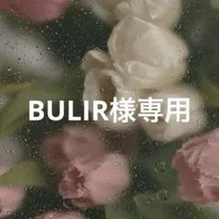 【BULIR様専用】Dior サンククルール　367・847