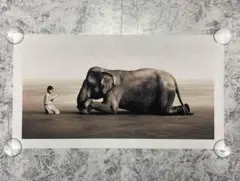 グレゴリーコルベール 古書古本 dessin： Gregory Colbert: ashes and snow