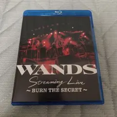 2026年最新】WANDS Liveの人気アイテム - メルカリ