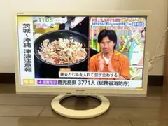 샤프 아쿠오스 LC-19K30-W LCD TV 화이트