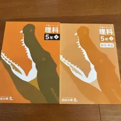 Item thumbnail for item 8861e8e2-de07-43b6-b4f2-f758c6c2fbbd