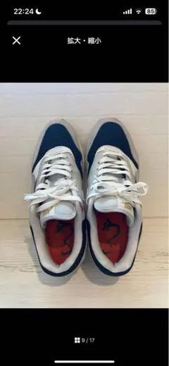 NIKE AIR MAX 1 PRM PURE PLATINUMのサムネイル